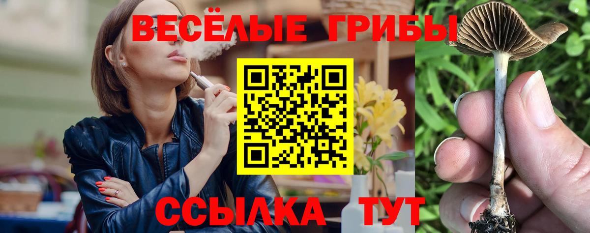 Галлюциногенные грибы GOLDEN TEACHER  цены наркотик  Красный Сулин  Псилоцибиновые грибы прущие грибы  Вход с VPN 